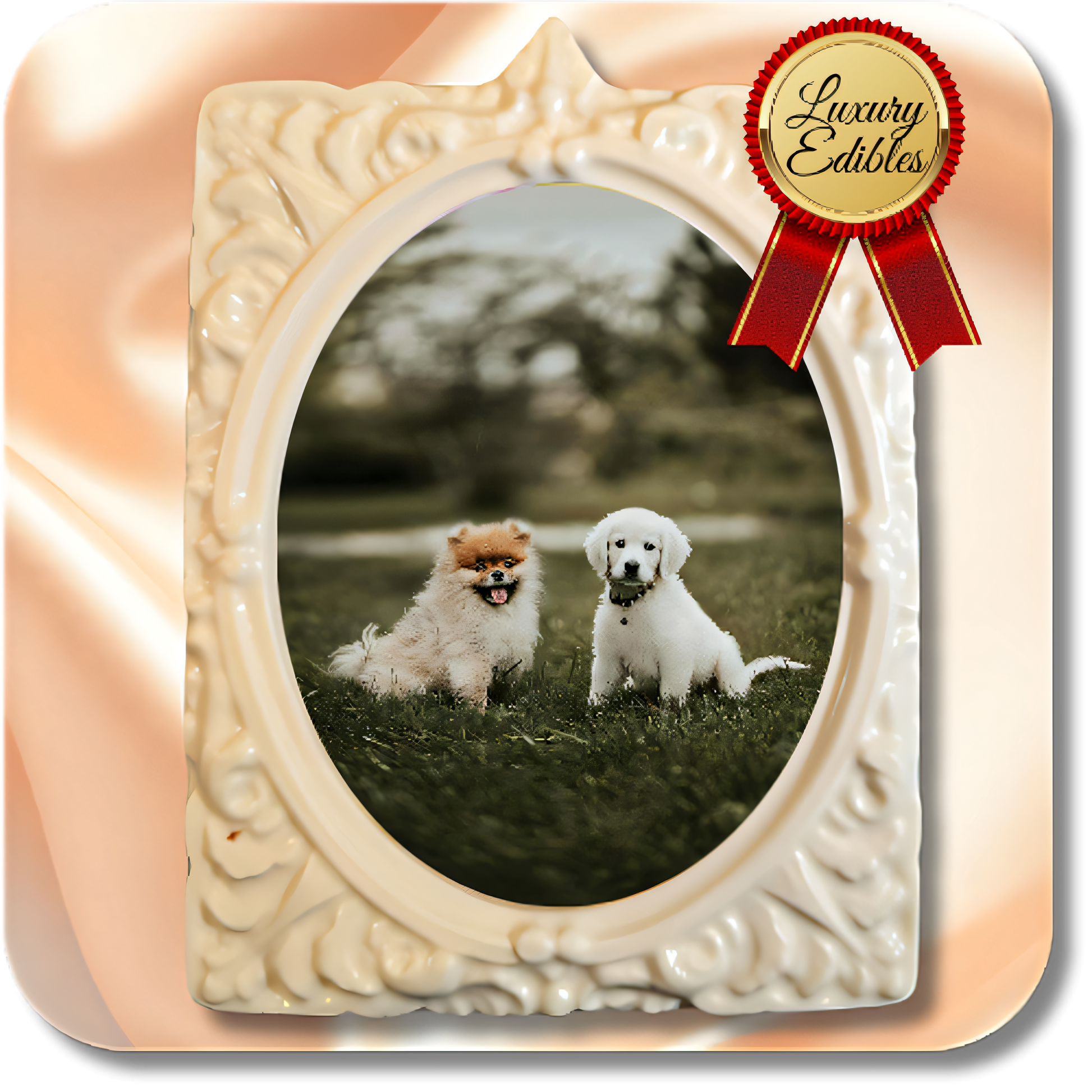 4K Chocolate Image Bars – Furry Friends Edition - Dessert Print